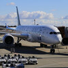 NH JA899A B787-9