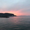 【釣り】愛知県　知多半島　豊浜海釣り公園（桟橋）でイワシ釣り 釣れる時間や釣り方を紹介