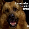 ロレンツォ＆レックス〜ローマ警察シェパード犬刑事☆部門別ランキング④REX珍場面