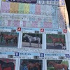 ヴィクトリアマイル2019予想オッズ、出走馬！競馬新聞馬サブロー！