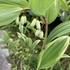 何日の我慢だろう