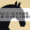 2023/2/18 中央競馬 小倉 5R 4歳以上障害OP
