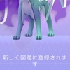 2024/11/19 気づけば今年もあと僅か