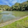 緑ヶ谷池（静岡県磐田）