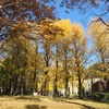 中央公園（東京都小平市）