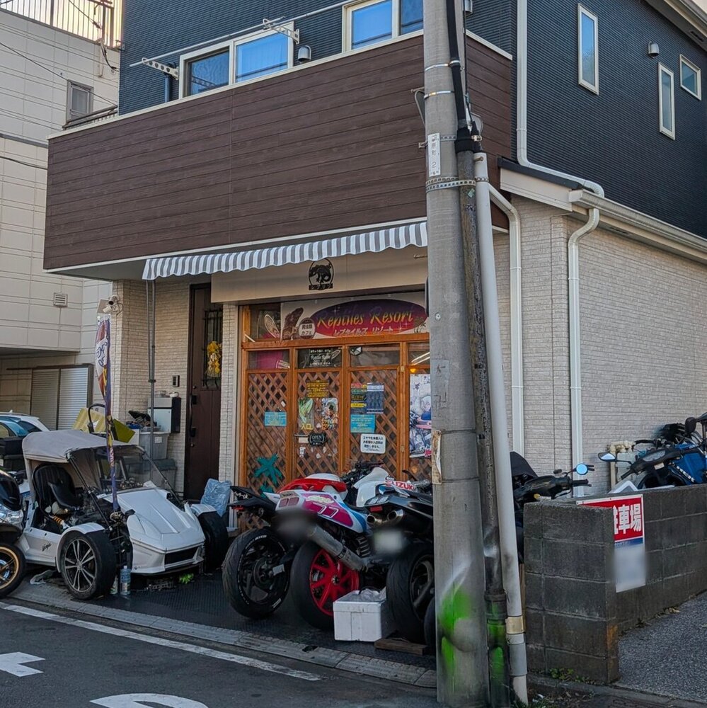 横浜爬虫類カフェ「レプタイルズリゾート」に行ってきた