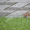 2021-08-13(Fri)