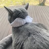 チャンスは誰の手に⁉︎