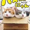 ねことドミノ2（ねこナビ編集部）