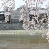 2022版：大阪 京都 兵庫の花見ができるレストラン！ランチ・ディナー情報、桜が見える席確約プランあり