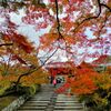 毘沙門堂門跡②　～門跡寺院の風格を湛えた紅葉の名所