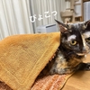 今も昔も変わらず。