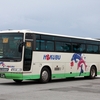 北部観光バス / 沖縄22き ・665