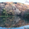 水郷県民の森