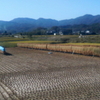 稲刈り日和