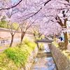 気分が上がらない時に｜自分の「萌えツボ」を見つけていい気分で過ごすヒント