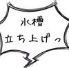 5ガロン（50cmスリム）水槽立ち上げ ①底砂で失敗