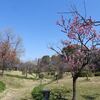 藤田邸跡公園２０２４