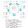 十大主星の出し方　日干「乙」の場合