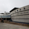 京都水族館イルカショー