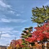 8年ぶりの【子宮頸がん検診】と【更年期】の話