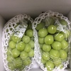 シャインマスカットが届きました。