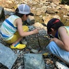 自然と触れ合う