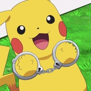 アニポケ感想 カテゴリーの記事一覧 しのぶの庭