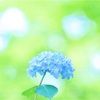 なぜか幸せになれない…潜在意識がブレーキをかける理由と手放し方＜前編＞