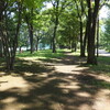 古代からの問題／この領土で・880