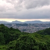 朝豪雨→夕方MTB