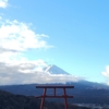 山梨・雪富士と鳥居・11月25日