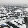 【函館】新撰組の聖地、五稜郭タワーに上る