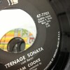 　Sam Cooke 「Teenage Sonata」