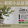 第48回相模小品盆栽展のご案内