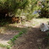 2026-04-07(Tue)