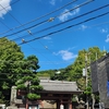 龍口寺行ってきた！
