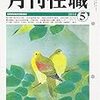 お互い様　月刊住職　古墳にコーフン　性と死の密教　