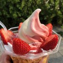 morino-kon’s blog