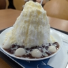 ふわふわ食感！北九州市若松区・喫茶「シロネコ」かき氷体験