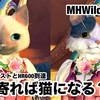 三人寄れば猫になる？！〜 MHWilds #142