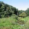 神代植物公園_水生植物園_１（東京都調布市）