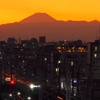 👼🐉大都市;東京の【マジックアワー時間帯】光景❣❣