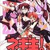 魔法先生ネギま！ 17巻 / 赤松健