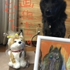 甲斐犬、マサルと出会うの巻〜(:D)┓ｱﾘｶﾞﾄ、ﾍﾟｺﾘﾝﾁｮ