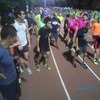 Namban night できる範囲で頑張ってみた
