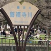 祭日の花見は「善福寺緑地公園」で焼き鳥を食べて缶チューハイを！