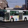 鹿児島交通 1061