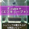 F.cube＋（エフキューブ＋）レビュー＆シュリンプ水槽立ち上げ