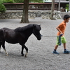 朝の上昇気流に乗るための、瞑想＋α！